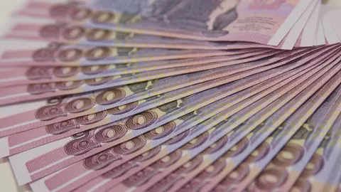 ทีโอทีฝันหวานรับเงิน