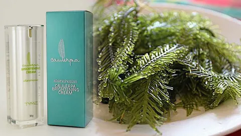 เซรั่ม...สาหร่ายขนนก เทียบชั้นแบรนด์ฝรั่งเศส