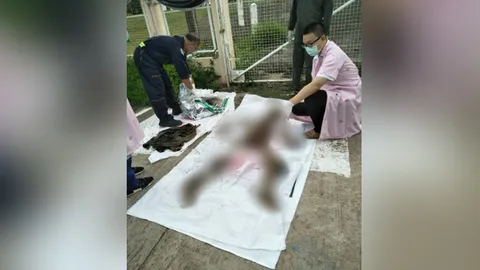 หรือจะมีเงื่อนงำ! ชายพะเยาหาย 1 เดือนเจอแต่กระดูก พบเพิ่งขายวัวได้เงิน