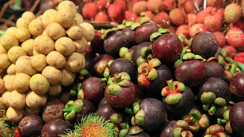 พณ. รับมือผลไม้ใต้ออกสู่ตลาด เปิดจุดรวบรวม-รับซื้อที่สงขลาและชุมพร