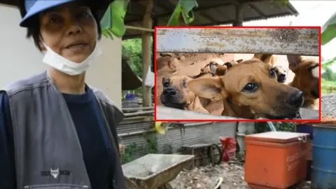 จนแต่รวยน้ำใจ! สาวใหญ่ ปลูกผักเลี้ยงปลา หาเงินดูแลหมาถูกทิ้งนับร้อย