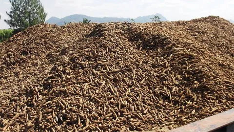 รัฐขายมันเส้นโละสต๊อก