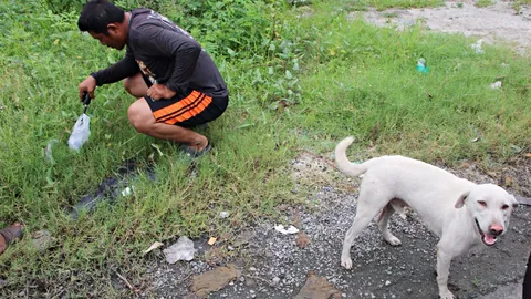 หรือจะเป็นสายลับ! 'เจ้าขาว' ตูบสุดฉลาด คาบถุงใส่ยาบ้ามาให้คนดู (คลิป)