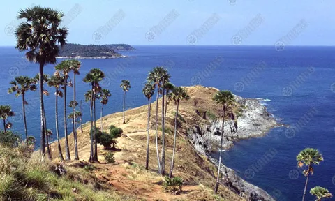 เสนอดันภูเก็ตเป็นเขตเศรษฐกิจพิเศษ