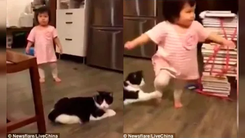 เหมียว Attack ชมคลิป น่าตีให้ขาหักนัก เมื่อเจ้าแมวแกล้งหนูน้อยล้มคว่ำ