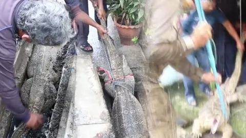 ท่อตันเพราะอาเฮีย ยาวใหญ่กว่า2ม. มุดติดออกไม่ได้ ทำน้ำท่วมบ้าน (คลิป)