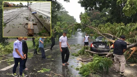 ประจวบฯป่วน พายุถล่ม ต้นไม้หักทับรถ-เสาไฟข้างโฮมโปรล้ม เสียหายหลายแสน 