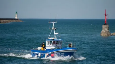 เบลเยียมชี้ ปลาในทะเลเหนือเพิ่มขึ้น จำกัดโควตาทำประมงได้ผล