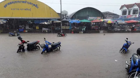 ซ้ำซากมานาน ฝนถล่มกาฬสินธุ์ แค่ครึ่ง ชม. น้ำท่วมหน้าตลาด ถนนนาคู-เขาวง (คลิป)