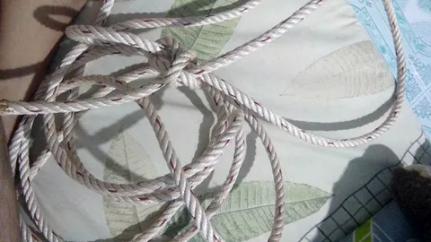 สาวผิดหวังรัก โพสต์คลิปผูกเชือกจะฆ่าตัวตาย โชคดีเพื่อนบ้านช่วยทัน