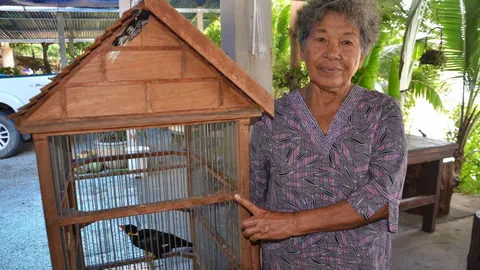 ช่างเจรจา‘เจ้าทอง’ขวัญใจประจำร้าน ร้องสั่งหมี่ขาว-เล็กตกชัดแจ๋ว(คลิป)