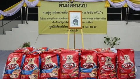 ร.10 พระราชทาน อาหารสุนัขและแมว แก่สถานสงเคราะห์สัตว์ในจังหวัดภูเก็ต