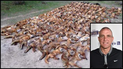 ด่ายับ! ดารา ’วินนี โจนส์’ ทวีตภาพซากจิ้งจอกโดนล่า100ตัว ท้าใครชนะได้