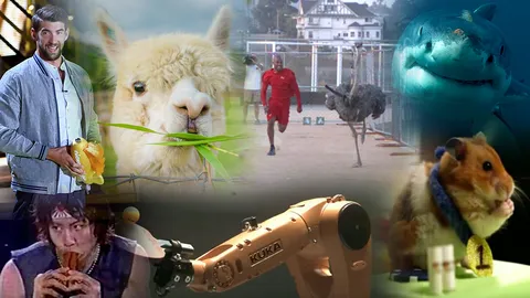 เฟลป์สว่ายน้ำแข่งกับฉลามว่าแหวก! รวมแข่งกีฬาแปลกๆ แบบนี้ก็มีด้วย   