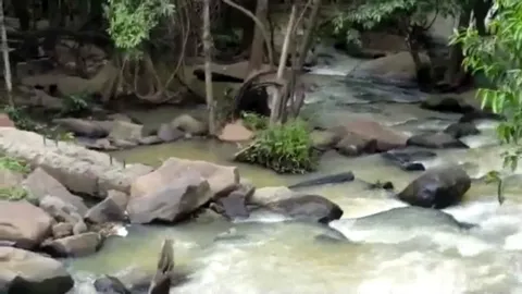 แหล่งเที่ยวใหม่โคราช มาวังน้ำเขียว เล่น 'น้ำตกธารท่าลี่' น้ำใสตลอดปี (คลิป)