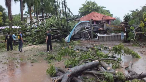 ระทึก! ต้นนนทรีโค่นใส่ศาลา ทับนักเรียนมัธยม ร.ร.ชุมพวง เจ็บ 8 คน