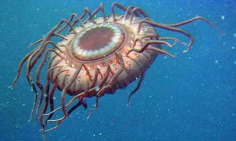 โลกาภิวัตน์ 07/08/53