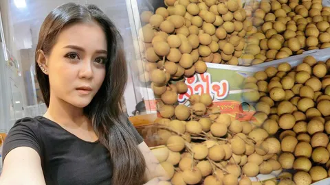 พาณิชย์ ปิ๊งไอเดียทาบ 'ผู้สาวขาเลาะ' เป็นพรีเซ็นเตอร์ช่วยแก้ ลำไยราคาตก