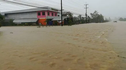 พิษ 'เซินกา' น้ำท่วม 16 จังหวัด-ถนนทางหลวง 7 แห่ง รถผ่านไม่ได้