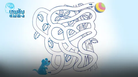 เกมลับสมอง 30/07/60