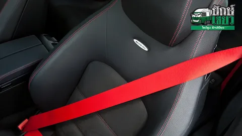 กระบือล้วนๆ ไม่มีวัวปน หัวเสียบเข็มขัดนิรภัยแบบไม่ต้องคาด อันตรายถึงตาย