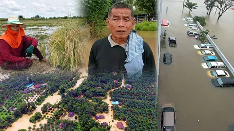 ซับน้ำตาผู้ประสบภัยน้ำท่วม ส่องด่วน! ประกันวินาศภัยที่เคลมได้เงินทันที