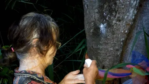 ชาวพะเยา ขอเลขเด็ด'เจ้าแม่จอมทอง'ใช้แป้งลูบ'ต้นเป๋ย' เห็นชัด 128 (คลิป)