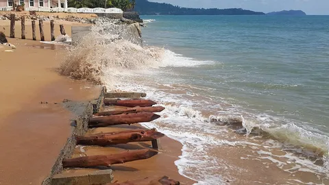 ทช.แก้กัดเซาะชายฝั่ง 24 จังหวัดทะเล