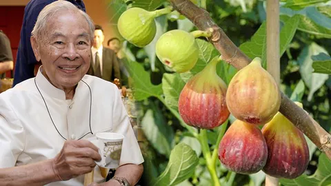 โครงการหลวงยกคุณค่าจากยอดดอย สู่ใจกลางกรุง