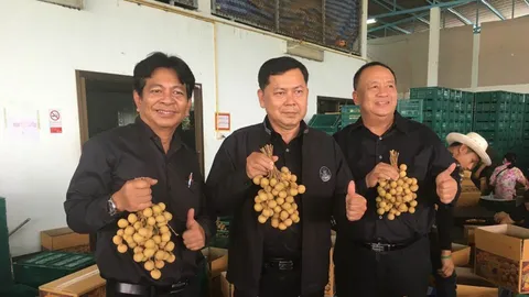 ลำไยล้นตลาด! กรมส่งเสริมสหกรณ์จับมือไปรษณีย์กระจายถึงผู้บริโภค