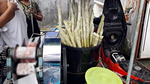 หนุ่มคั้นน้ำอ้อย พลาดใช้มือเขี่ยชานถูกเครื่องรีดขยี้นิ้วแหลกละเอียด