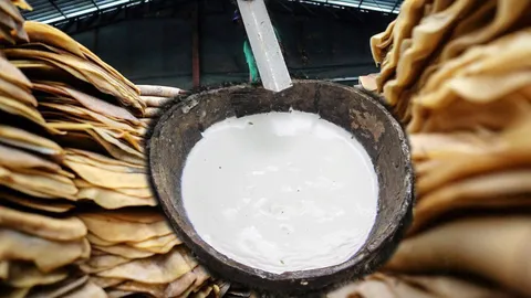 กยท.หนุน สินเชื่อผู้ประกอบการน้ำยางข้นหมื่นล้าน ยกระดับราคาให้สูงขึ้น