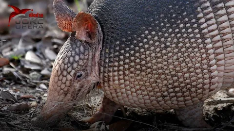 กรรมสนองทันทีทันควัน