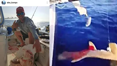 ยังเป็นมนุษย์อยู่ไหม? ชมคลิป ชายใจเหี้ยม ยืนหัวเราะ รัวยิงเผาขนสังหารฉลาม