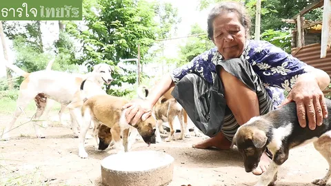 วอนผู้ใจบุญช่วย ยาย 63 แบ่งข้าววัดกินกับสุนัข ประทังชีวิต 