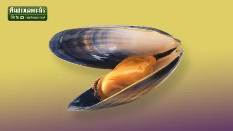 เครื่องหลวมเชิญทางนี้! คาถาไม่ลับ ‘น้องสาวกระชับ’ จนแฟนหลงต้องทำอย่างไร?