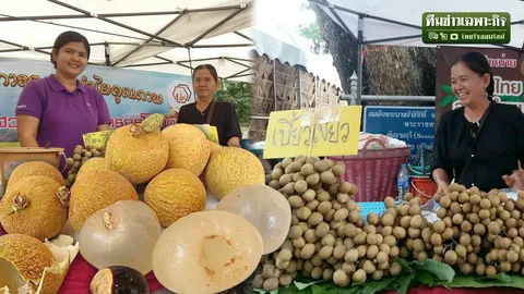 ไขบทวิเคราะห์ ราคาลำไยดิ่งลงเหวหรือไม่ แนวทางจัดการสู่อาเซียนช่วยได้จริงหรือ