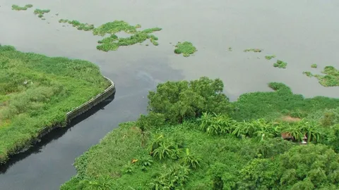 ร้องเรียนโรงงานปล่อยมลพิษ