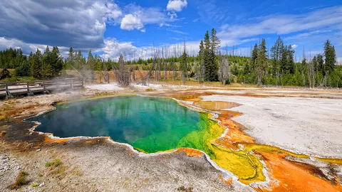 แหย่มือ หย่อนขา! เผยอันตรายเยลโลว์สโตน พลัดตกบ่อร่างละลายไม่เหลือซากจริงหรือ?