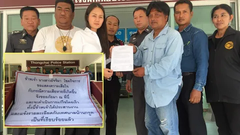ผิดทำให้เสียทรัพย์-รีสอร์ตขอโทษ ตัดต้นสนบ้านกรูด อ้างทำเพราะห่วงนทท. (คลิป)