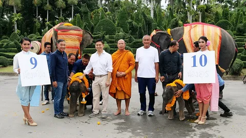 รับขวัญวันหวยออก! ช้างสวนนงนุช ตกลูก 2 เชือก 'น้องหญิง-น้องอร' (คลิป)