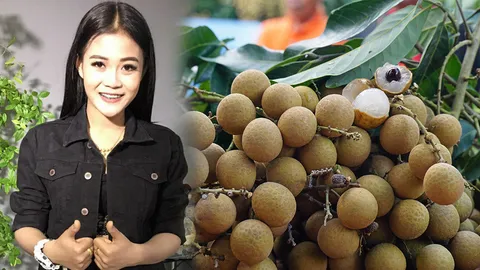 ดึงผู้สาวขาเลาะขายลำไย! รัฐเร่งระบายผลผลิตทั่วไทย