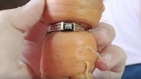 เหลือเชื่อ หญิงชราน้ำตาจะไหล เจอแหวนเพชรแต่งงาน ทำหาย 13 ปีในหัวแครอต 