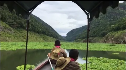 'ครูมาด' วอนช่วย ร.ร.เรือนแพ หลัง นร.เดินทางลำบาก ผักตบชวาขวางทางน้ำ