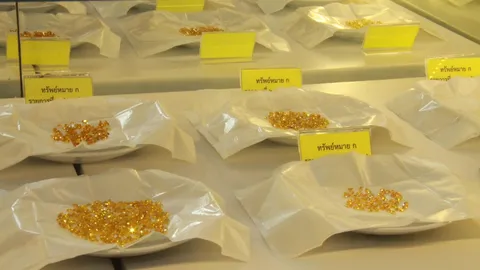 ‘บังคับคดี’ ขายทอดตลาด ‘หยก-พลอย’ นัดที่ 4 ยังไร้วี่แววคนประมูล