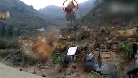 I believe I can fly! ชมคลิป ใครกันนะ ที่บอกว่าไก่ บินไม่ได้? 