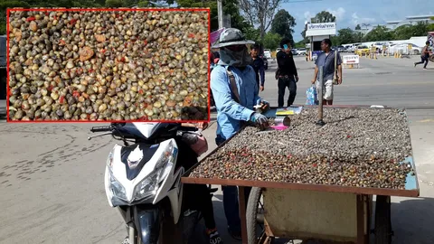 'เลี้ยะฮาร์' หอยตากแดด เมนูแปลกสุดฮอต ของคนเขมรที่ตลาดโรงเกลือ