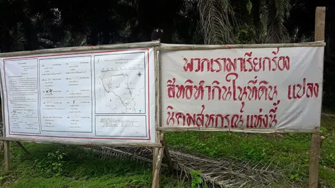 ปิดสวนปาล์มอีก จี้ดำเนินคดีรุกป่า