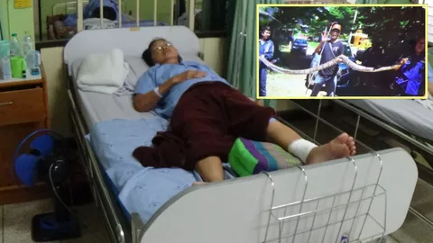  สยอง เหลือมจอมตะกละ ฉกขาป้าเก็บมะนาว รัดทันทีหวังเขมือบกิน (ชมคลิป)