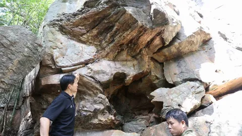 ไม้กลายเป็นหิน ที่แหล่งท่องเที่ยวภูพานน้อย เตรียมส่งนักธรณีฯ พิสูจน์